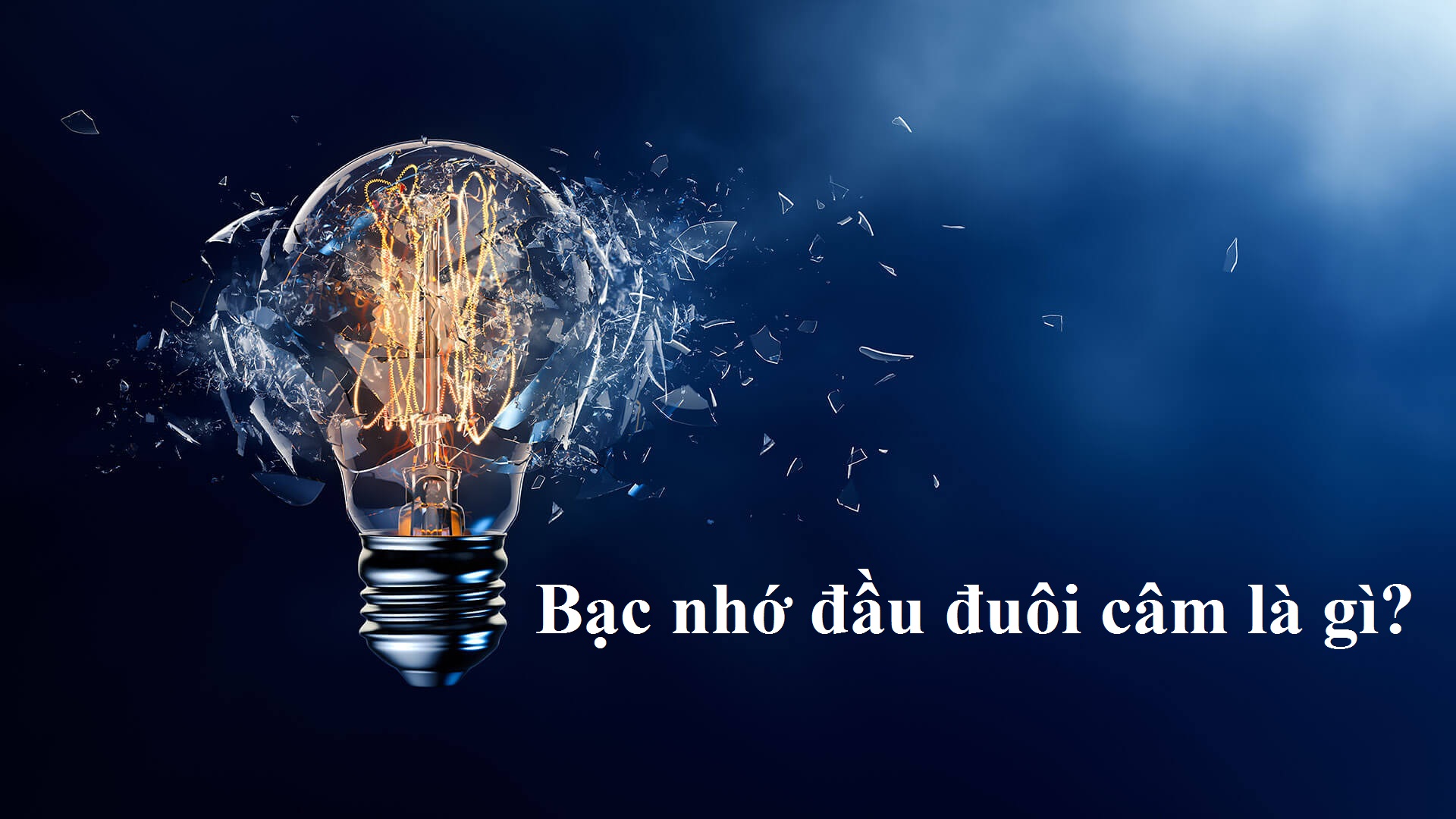Đánh bạc nhớ đầu đuôi câm xổ số miền bắc sao cho chuẩn?